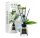 ALYA illatpálcás lakásillatosító 100ml, Gardenia